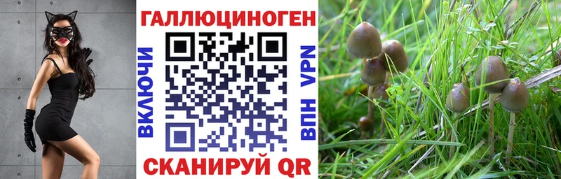 Купить закладки  Тула  Псилоцибиновые грибы прущие грибы 